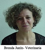 Cómo reconocer una vinchuca.